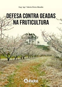 Capa livro Valerio Mondin