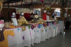 Festa Junina AREAVID (2)