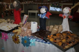 Festa Junina AREAVID (3)