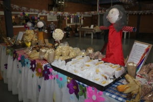 Festa Junina AREAVID (4)